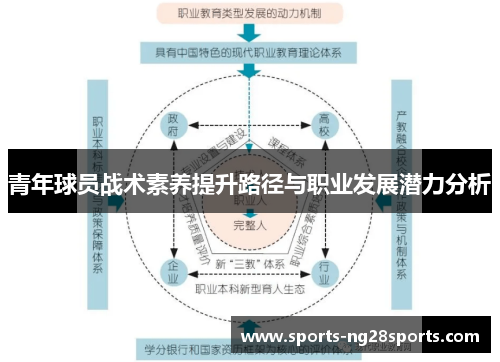 青年球员战术素养提升路径与职业发展潜力分析